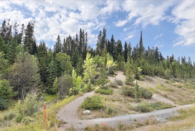 PlanetSKI's Autumn Alberta road trip. Image © PlanetSKI